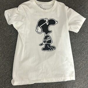 Uniqlo KAWS x Peanuts Graphic Tee Shirt